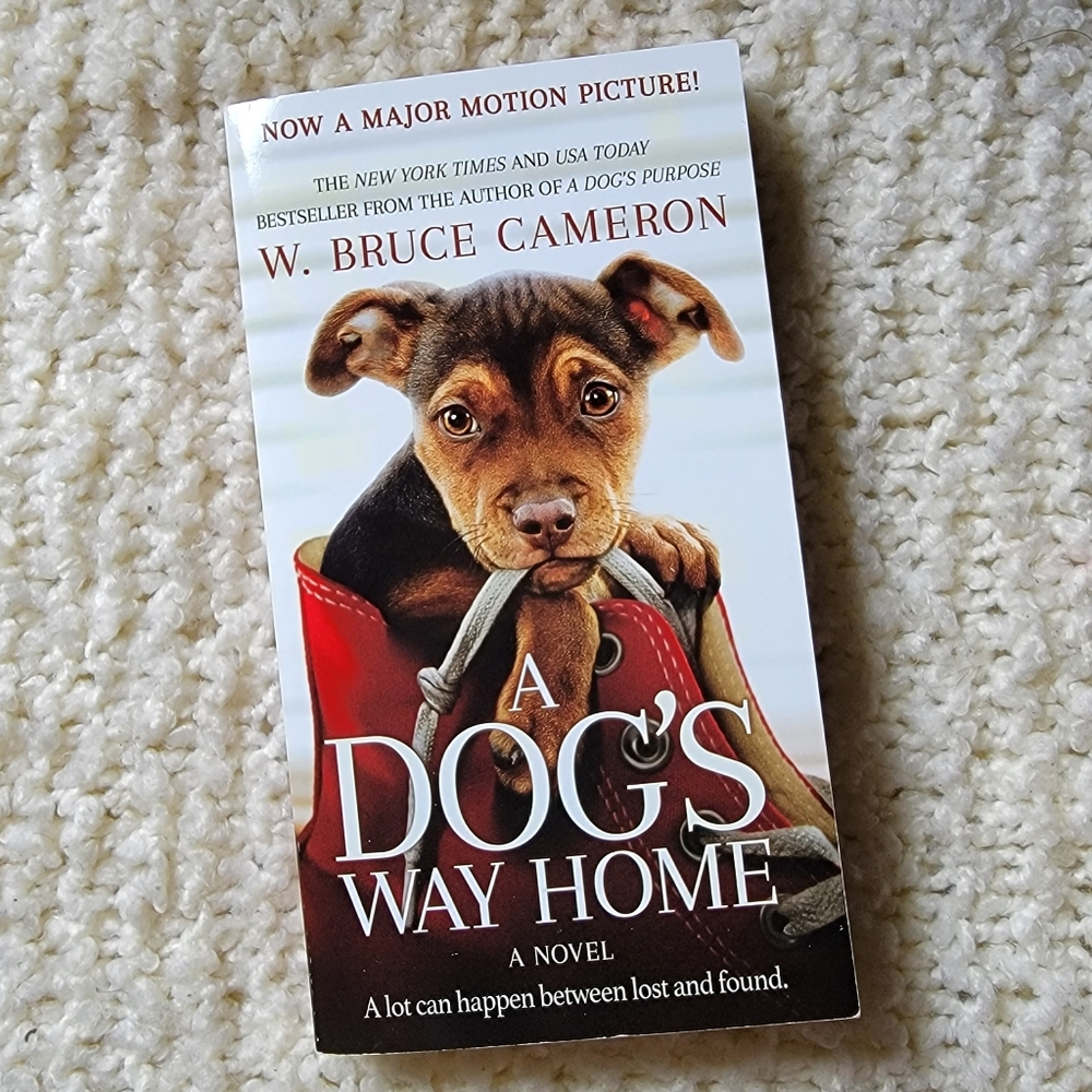 A Boy's Way Home by W. Bruce Cameron